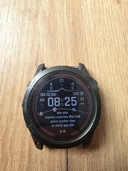 Garmin Fenix 7X Solar titan stare bun