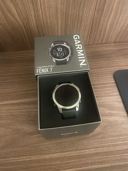 Garmin Fenix 7 Silver stare bun