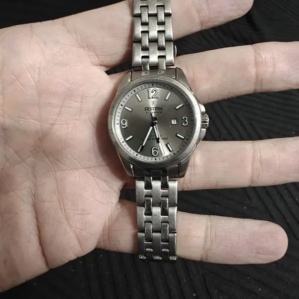 Festina Titanium Grey Dial F20697 titan stare bun