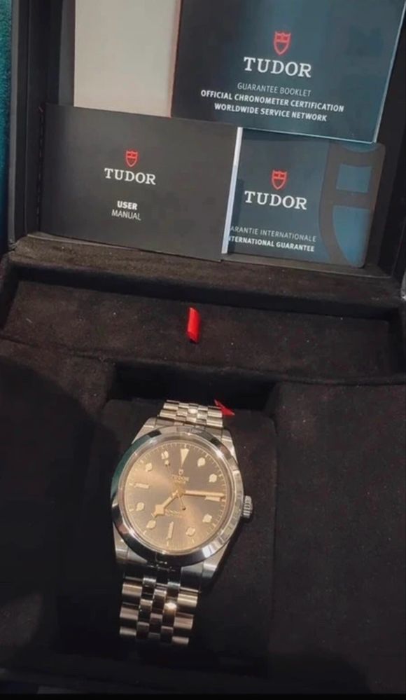 Tudor Geneve otel stare bun