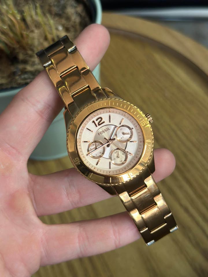 Fossil Stella dama es 3815